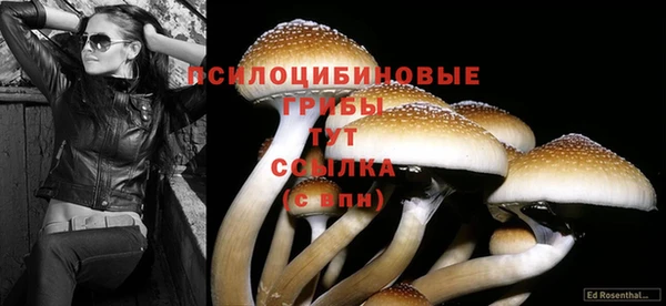 тгк Белоозёрский