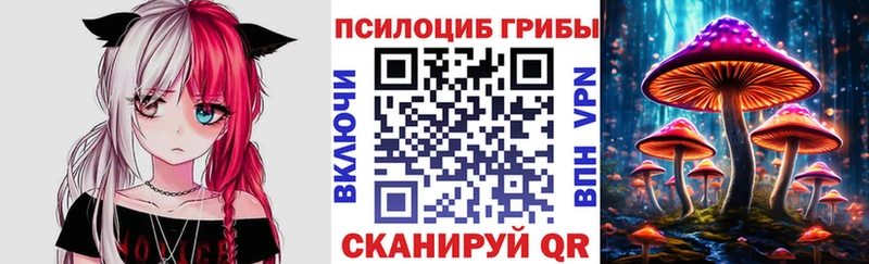 Галлюциногенные грибы Psilocybe  KRAKEN ТОР  Кстово 